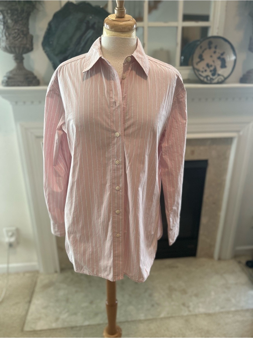 Everlane Classic Pink Stripe Oversized Button-Down Shirt